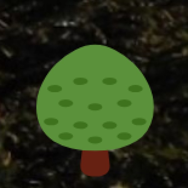 Kakkathuruthu – The Enchanting ‘Island of Crows’