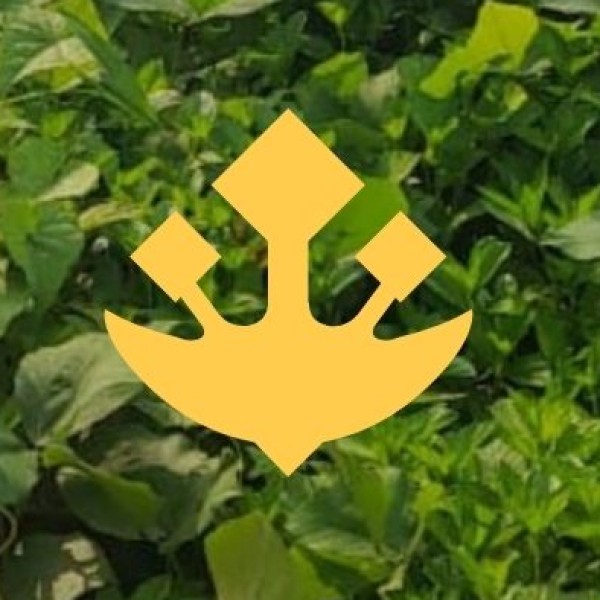 Hidden Gems & Offbeat Destinations