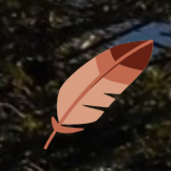 Namdapha Rainforest (Deban Side) – Changlang District