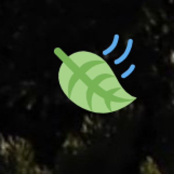 Pichavaram Mangrove Forest – India’s Amazon