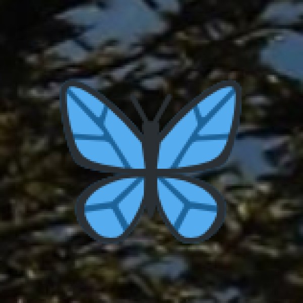 Nelliampathy – Kerala’s Mini Ooty