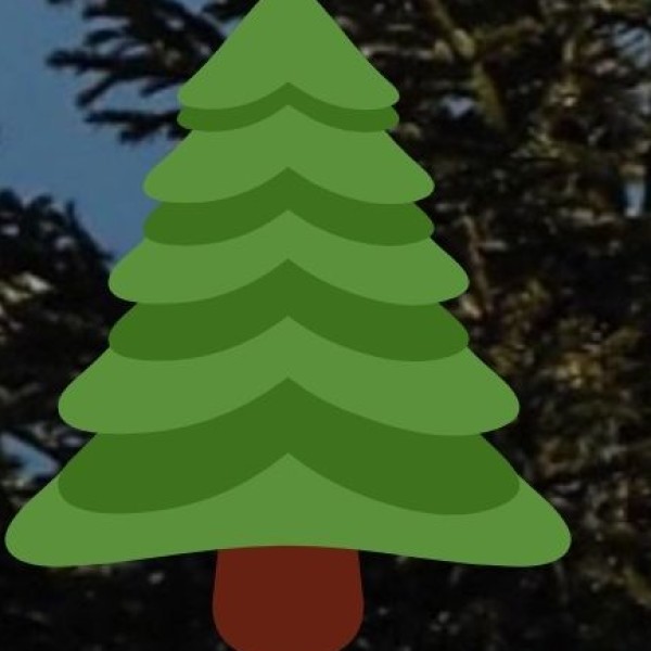 Hidden Gems & Offbeat Destinations