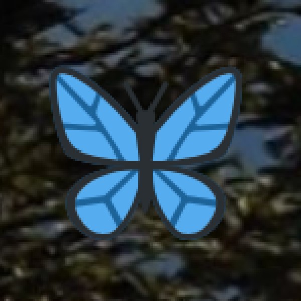 Dong Valley – Anjaw District