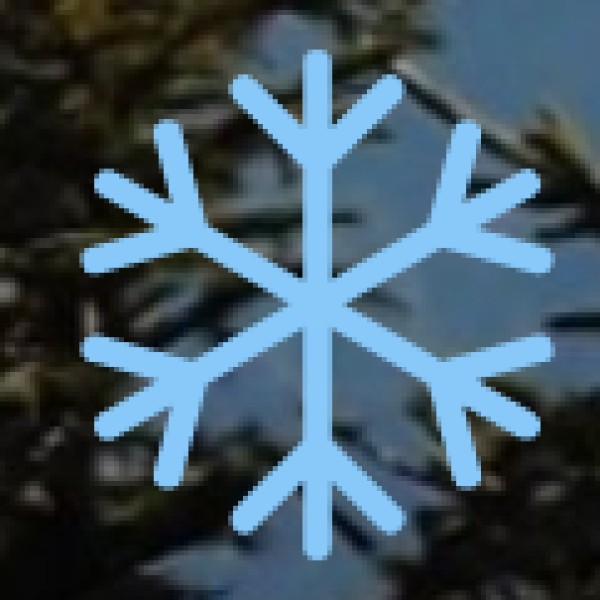 Access & Connectivity