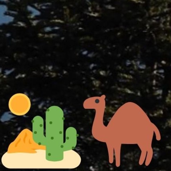 Rajasthan is full of royal wonders