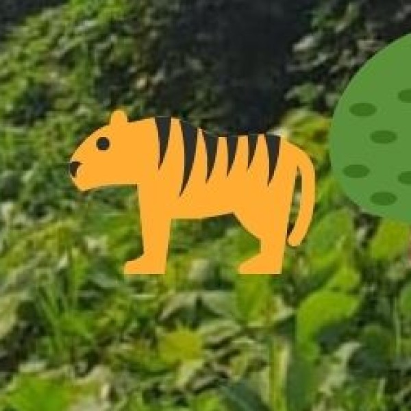 Tourism and Wildlife: