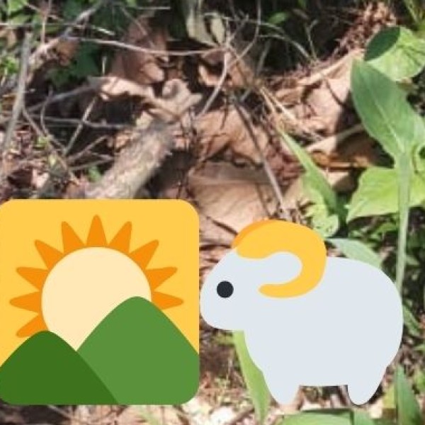 Wildlife & Ecology