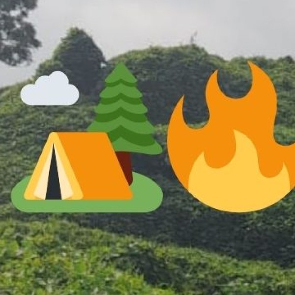 • Climate: