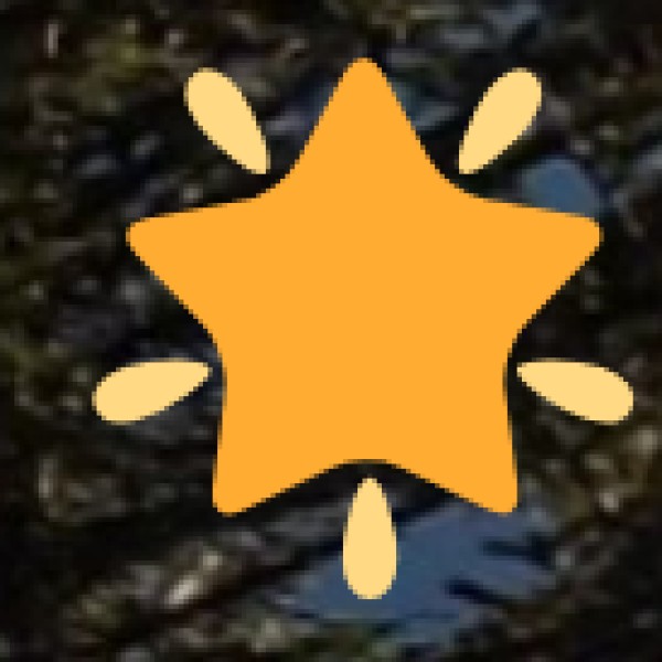 Unique Features