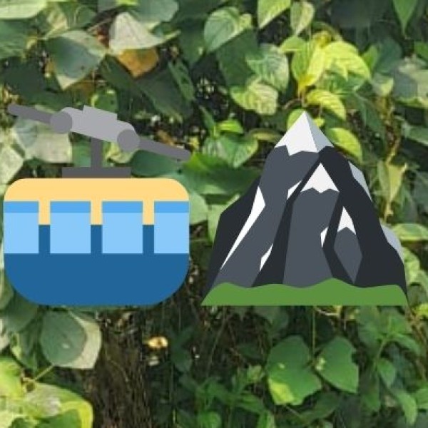 Environmental Significance
