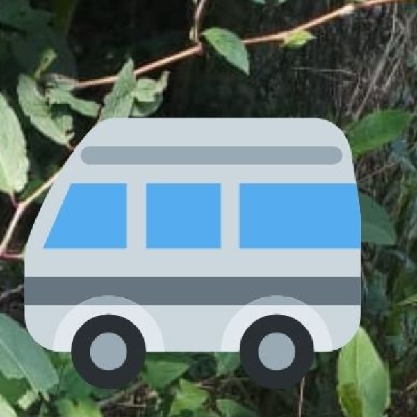 Transport & Connectivity