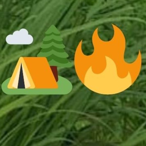 Environmental Issues