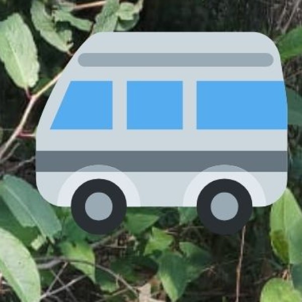 Transport and Connectivity
