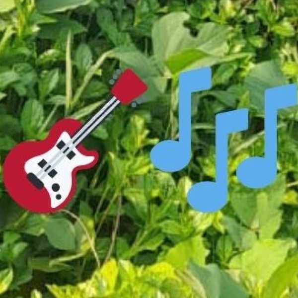 • Music & Dance: