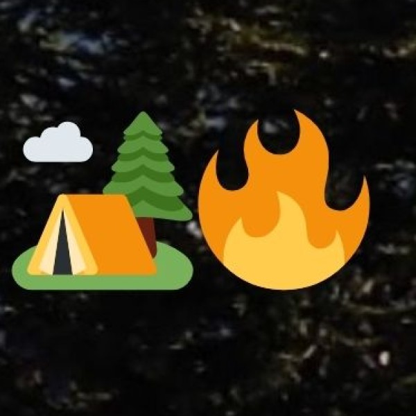 • Festivals: