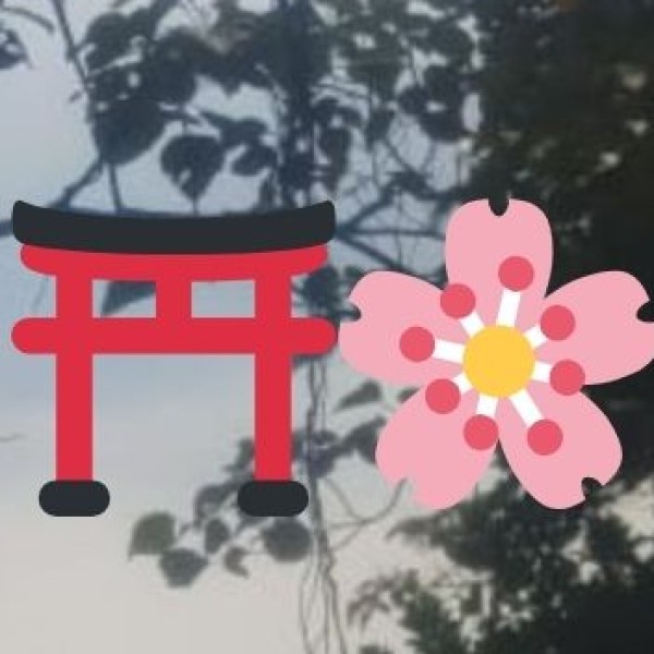 Culture & Traditions