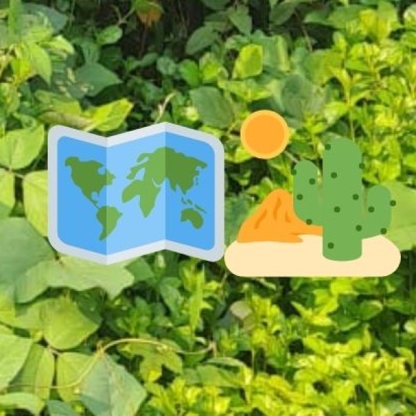 Geography and Climate: