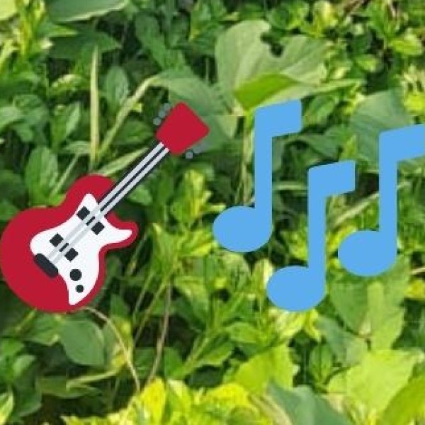 Dance & Music