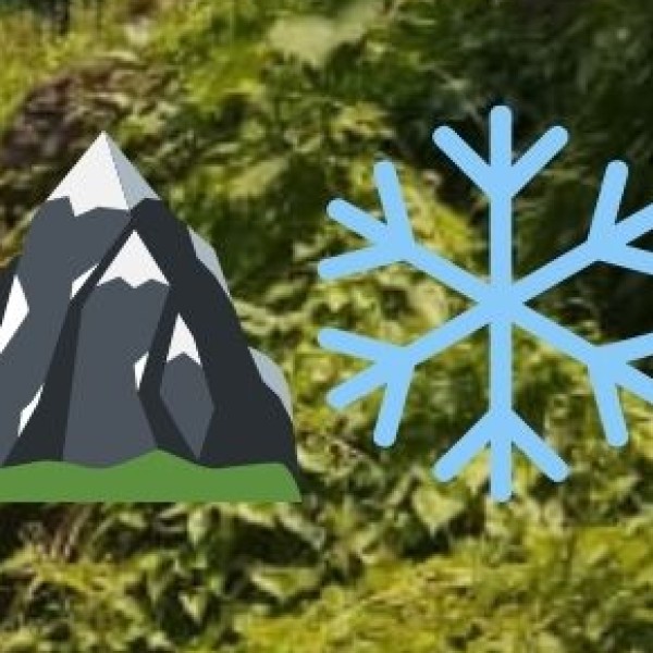 Natural Environment