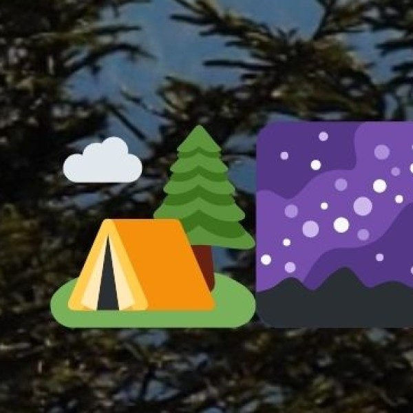 • Festivals: