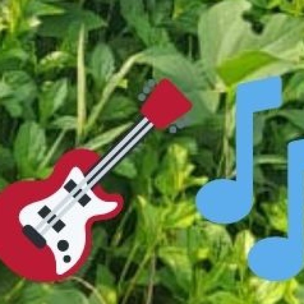 • Music & Dance: