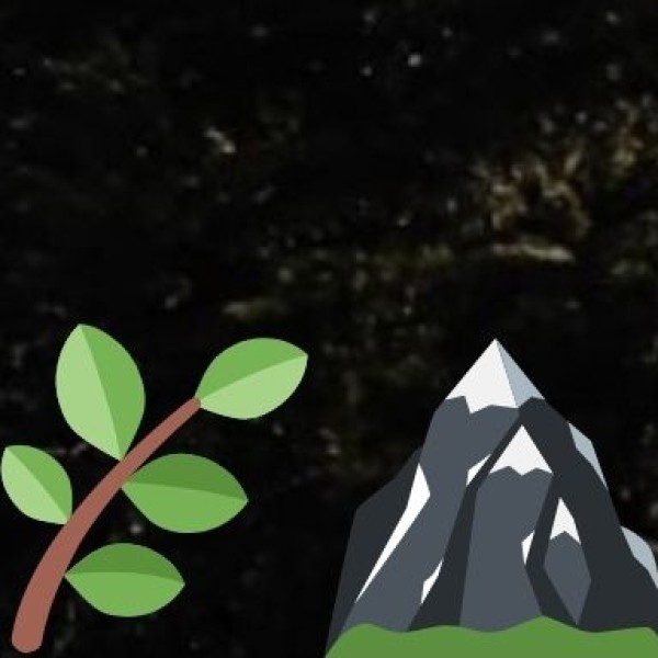 Darjeeling – The Queen of the Hills