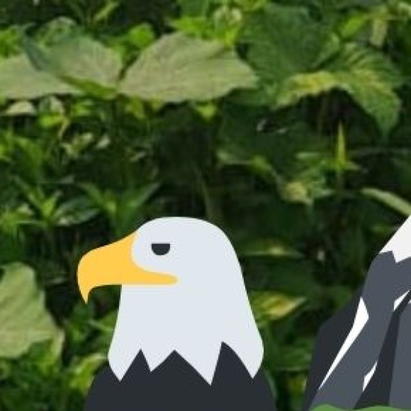 Asola Bhatti Wildlife Sanctuary