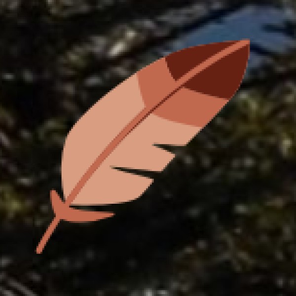  Living Root Bridges: