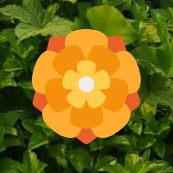 Desert Retreats – Osian and Khimsar