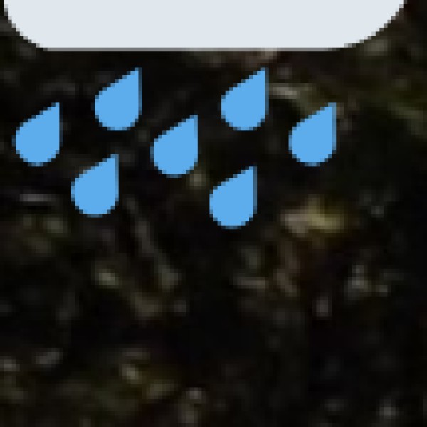 • Cherrapunji (Sohra)