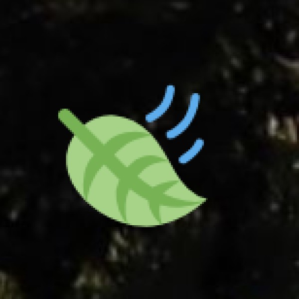  Seven Sisters Falls (Nohsngithiang Falls):