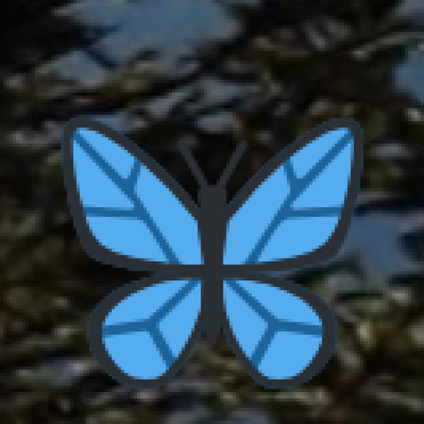 Tirthan Valley – The Hidden Paradise