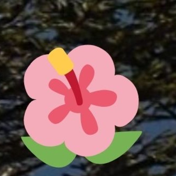 Dzükou Valley – Nagaland’s Valley of Flowers