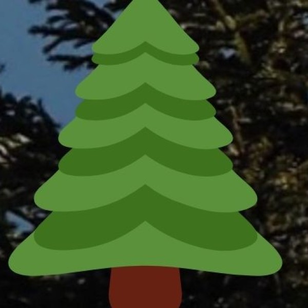 Polo Forest – Gujarat’s Hidden Green Paradise