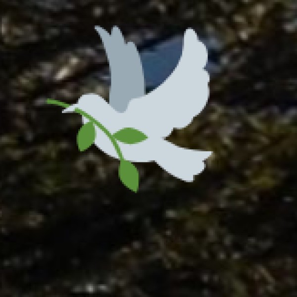 Expansion of Eco-Friendly Resorts