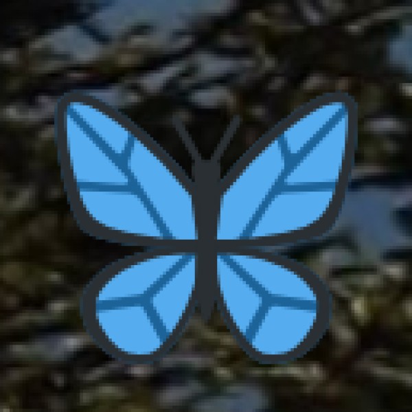 Why Visit Gujarat’s Hill Stations & Nature Getaways?