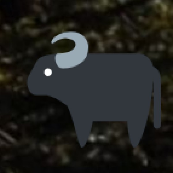 Wildlife Safaris in the Western Ghats