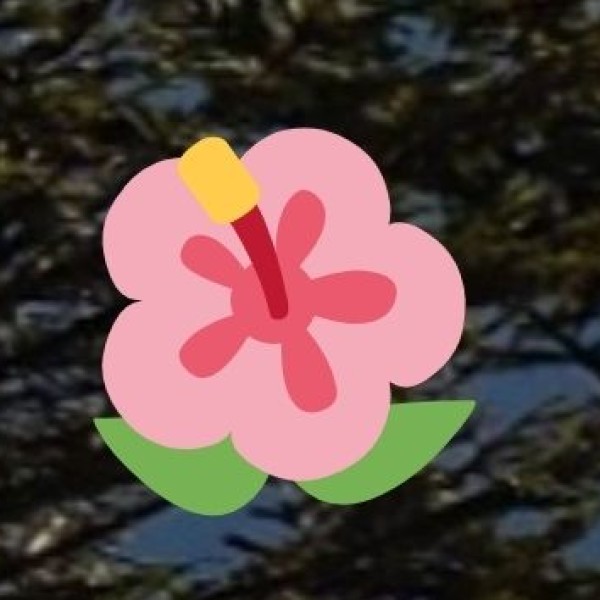 Kalimpong – The Land of Orchids & Monasteries