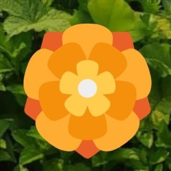 Matheran – India’s Only Eco-Friendly Hill Station