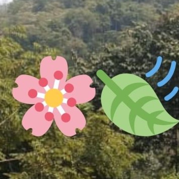 • Gardens and Parks: