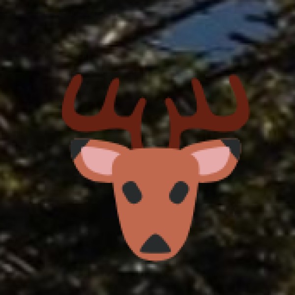 Jessore Sloth Bear Sanctuary – A Wildlife Lover’s Paradise