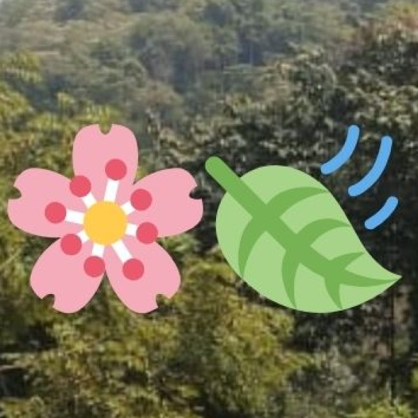 Yamuna Biodiversity Park