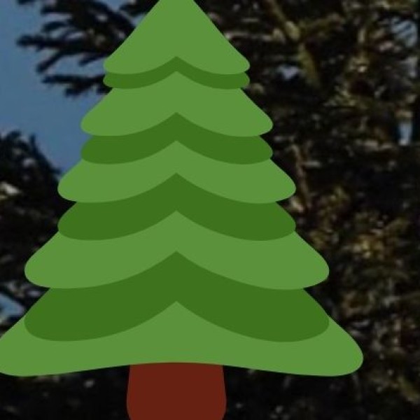 Top Hill Stations in Gujarat