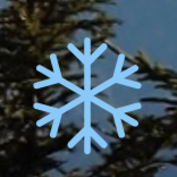 Kailash and Kutumsar Caves (Kanger Valley)