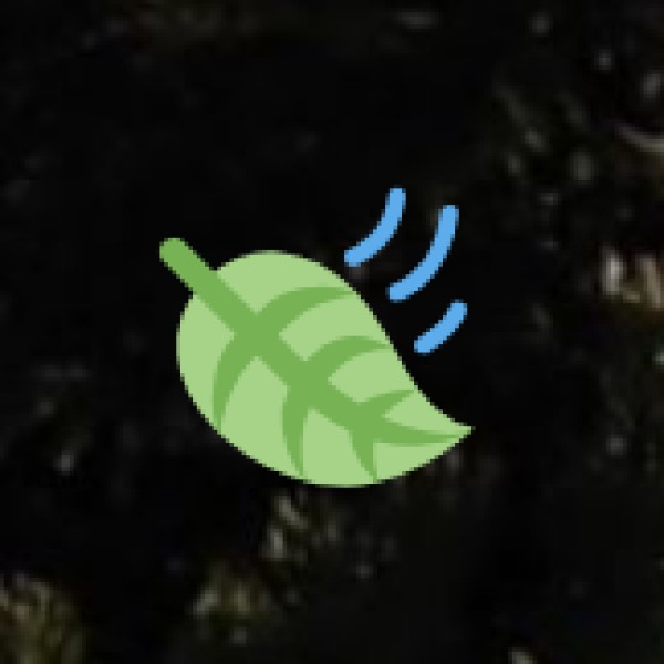 Sangti Valley – A Hidden Nature Retreat