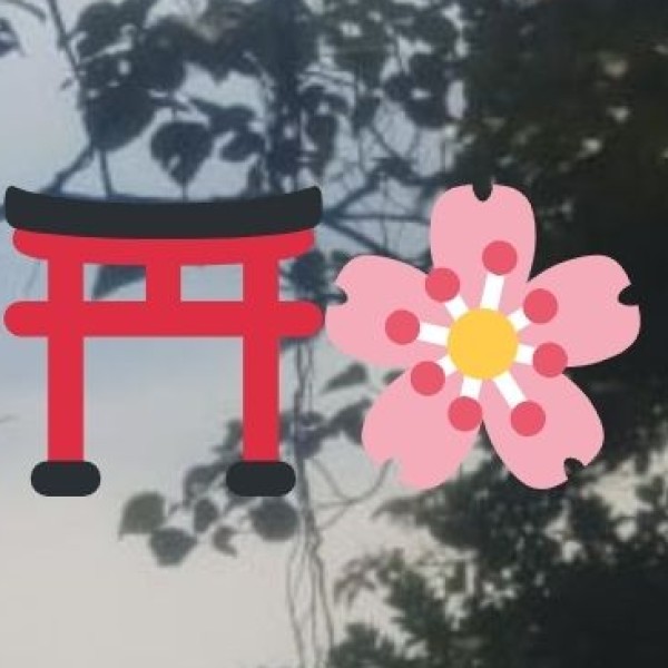 Best Season to Visit