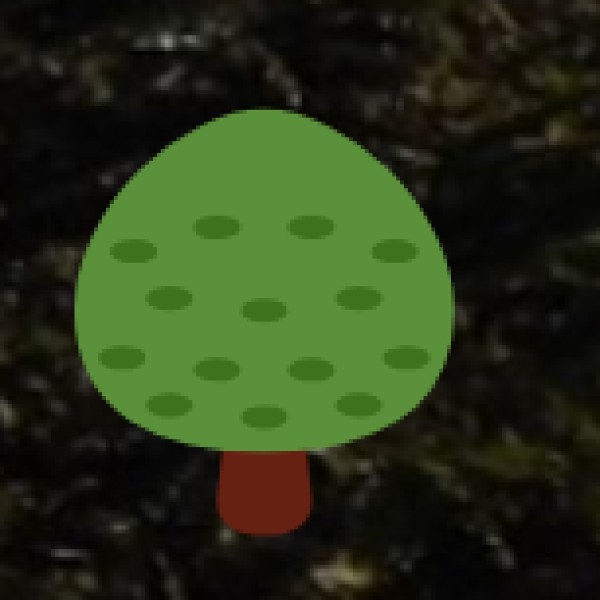 perfect for eco-conscious travelers