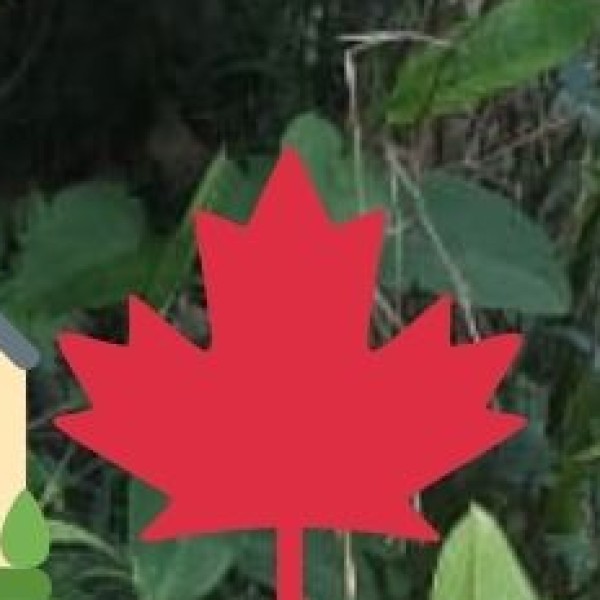 Hill Stations & Natural Retreats in Chhattisgarh