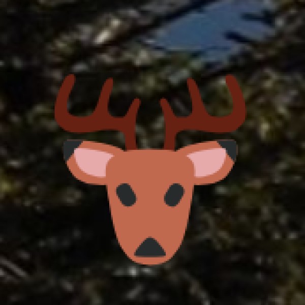 Sultanpur National Park – Gurgaon