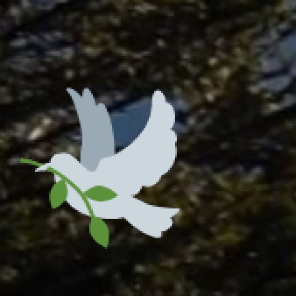 Eco-Tourism and Wellness Tourism